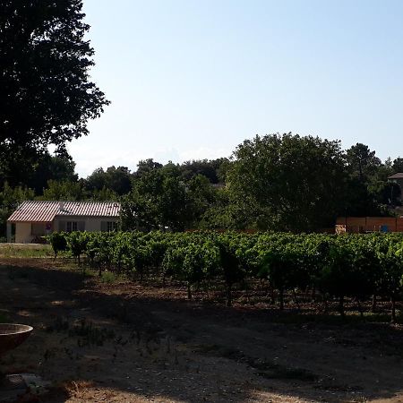 La Petite Maison Dans Les Vignes Chamaret Екстериор снимка