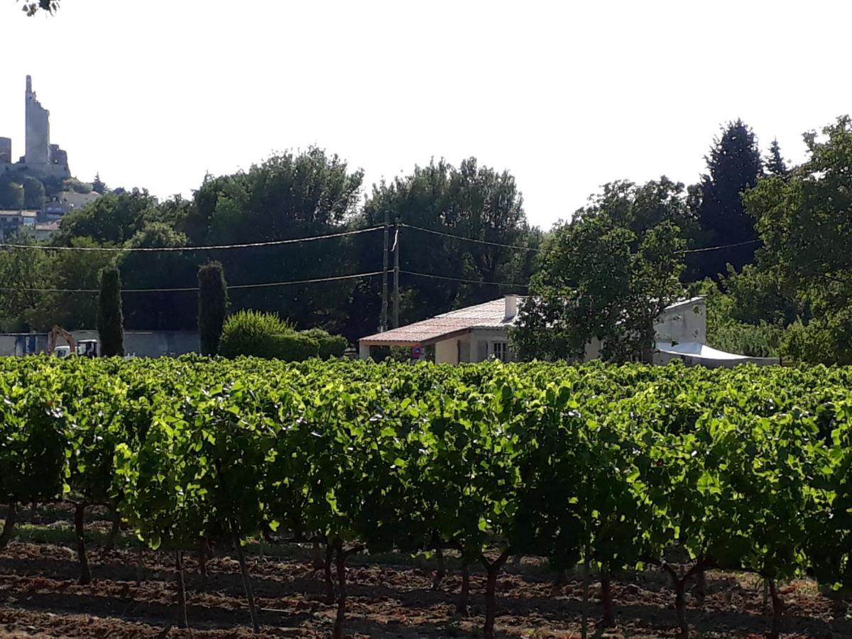 La Petite Maison Dans Les Vignes Chamaret Екстериор снимка
