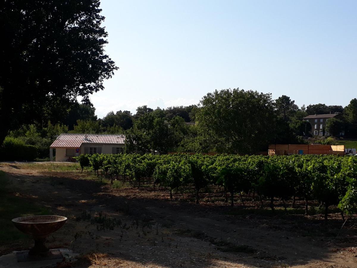 La Petite Maison Dans Les Vignes Chamaret Екстериор снимка