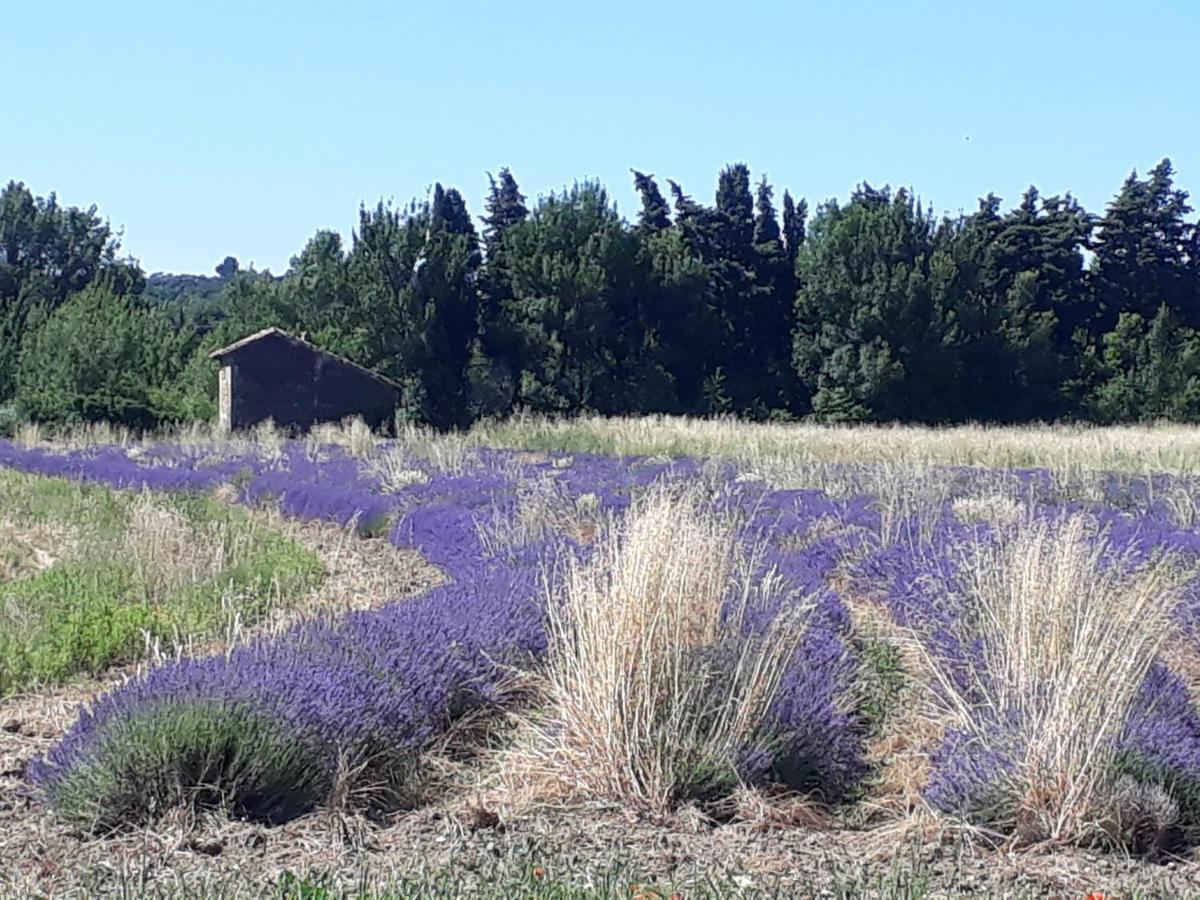 La Petite Maison Dans Les Vignes Chamaret Екстериор снимка